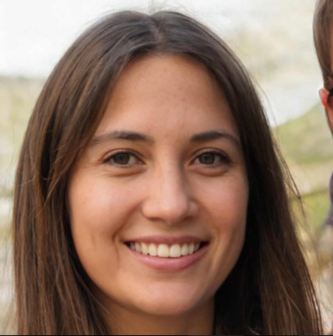 <em>Nancy P. </em>